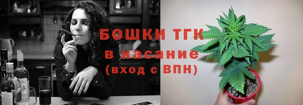молекула духа Богородск