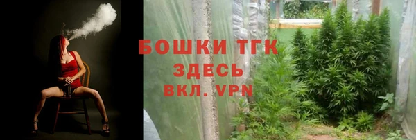 амф Мегион