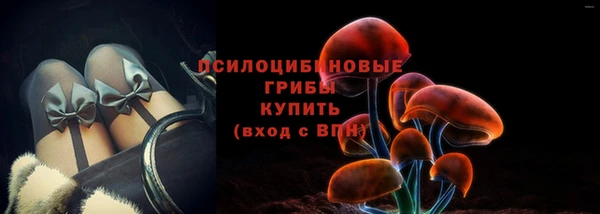 амф Мегион