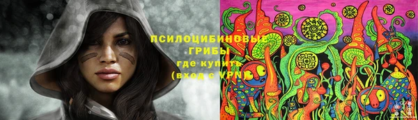 сатива Богданович