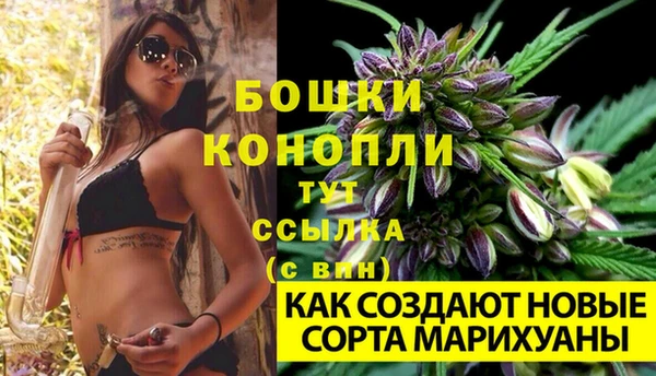 амф Мегион