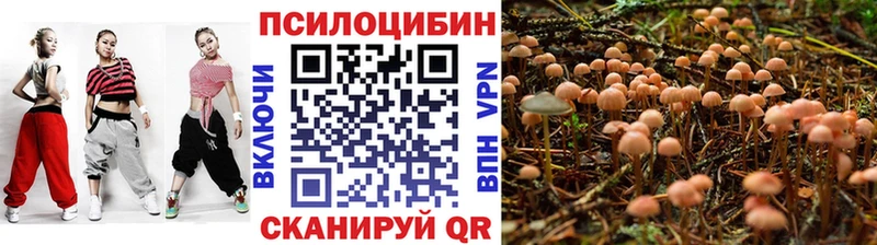 hydra tor  Мосальск  Псилоцибиновые грибы ЛСД  наркошоп 