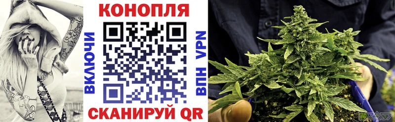 Бошки Шишки марихуана  где найти наркотики  Мосальск 